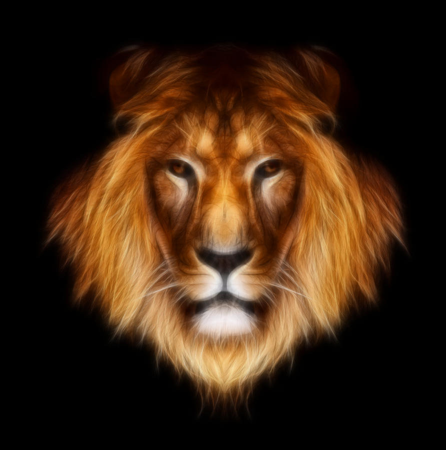 artistic-lion-aimelle-.jpg